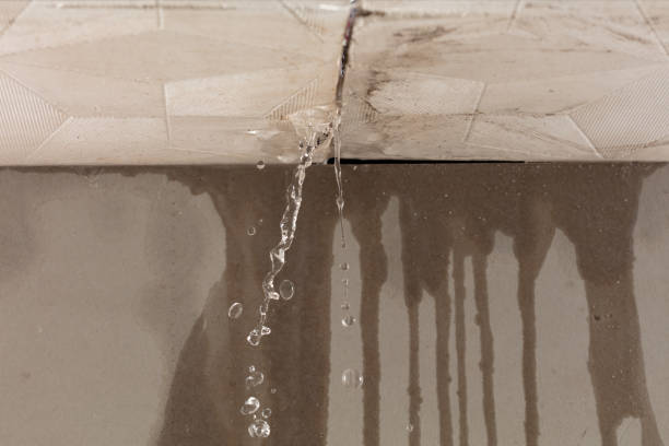 Professional Water Extraction technician working in Woodleaf, NC